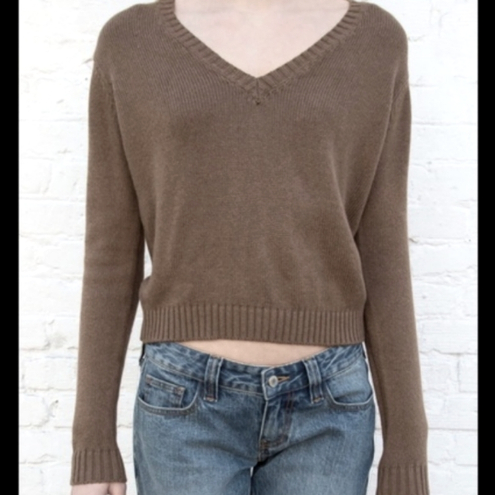 Brandy Melville Leigh Brown V-Neck Wool Cashmere Blend Sweater